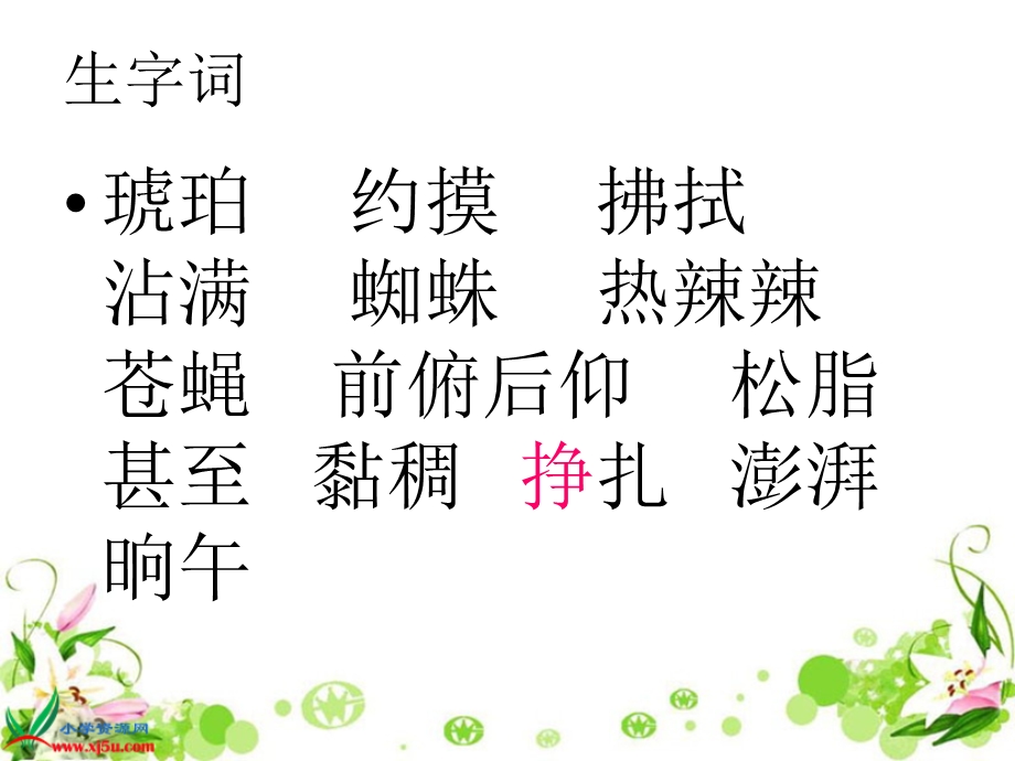 奇异的琥珀PPT.ppt_第2页