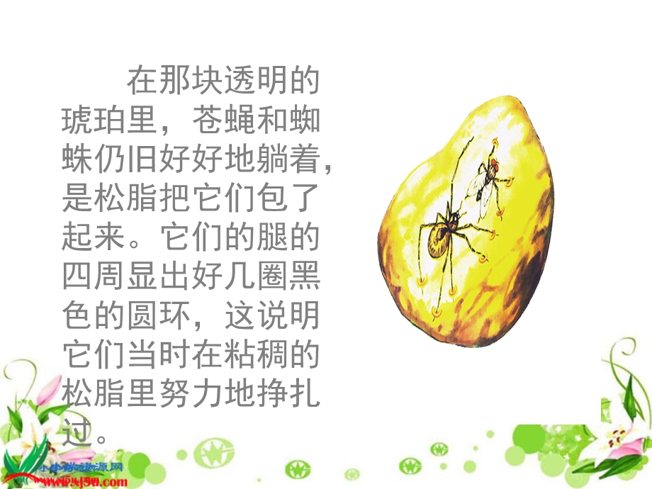 奇异的琥珀PPT.ppt_第3页