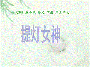 提灯女神公开课.ppt