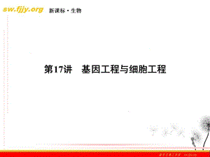 高三生物二轮复习课件：917基因工程与细胞工程文档资料.ppt