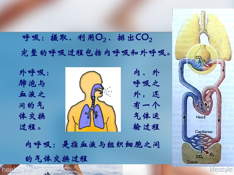 呼吸衰竭名师编辑PPT课件.ppt_第2页