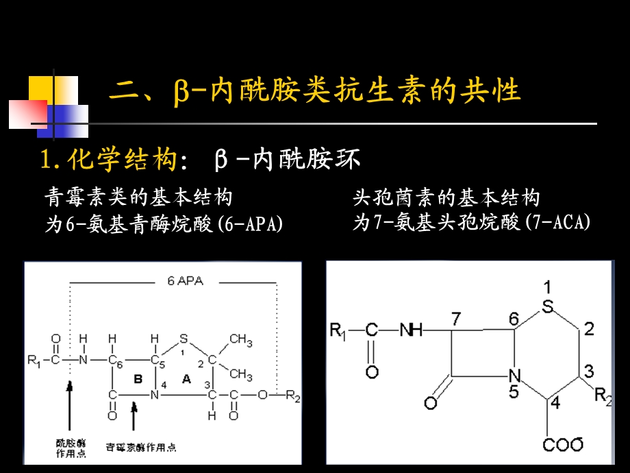 抗生素各论201课件精选文档.ppt_第3页