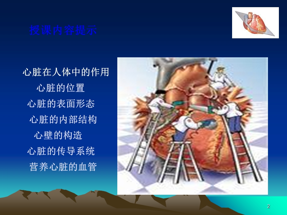 心脏的解剖生理PPT文档.ppt_第2页