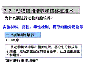 2.2.1动物细胞培养和核移植技术精选文档.ppt