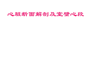 心脏超声与心脏断面解剖及室壁心段名师编辑PPT课件.ppt