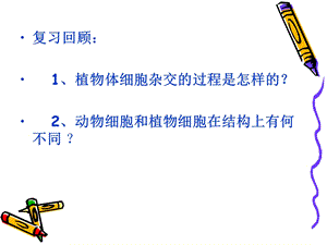 k222动物细胞融合与单克隆抗体2课时文档资料.ppt