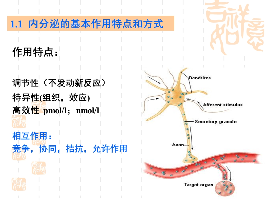 内分泌生理文档资料.ppt_第2页