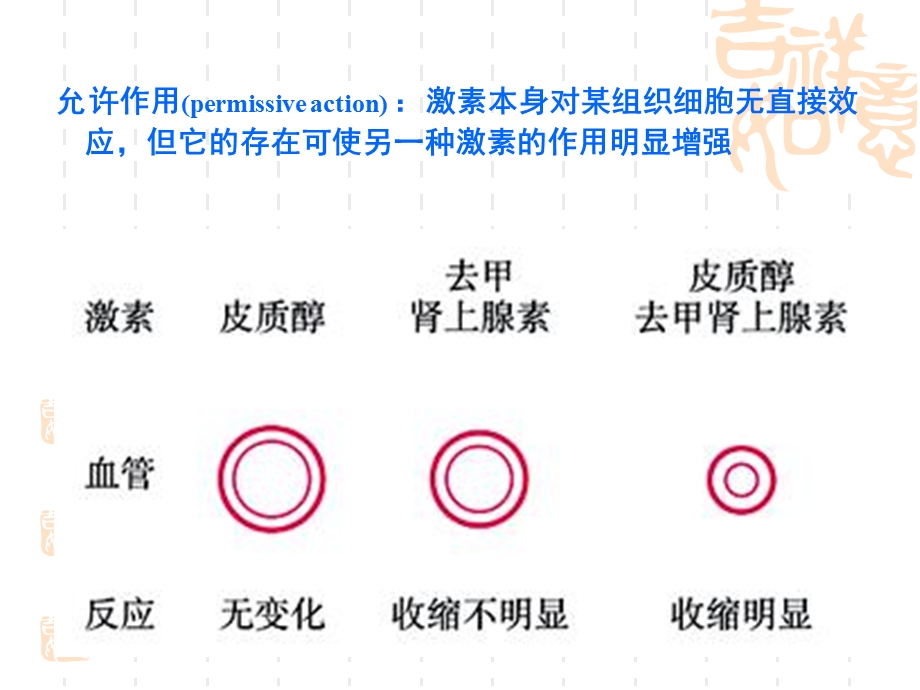 内分泌生理文档资料.ppt_第3页