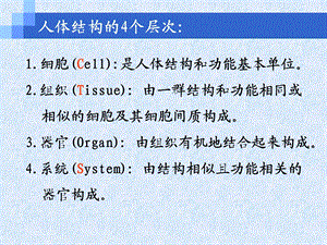 卫校第2章基本组织(解剖学基础PPT文档.ppt