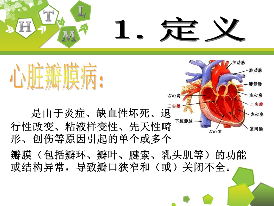 主动脉瓣关闭不全的护理文档资料.ppt_第2页