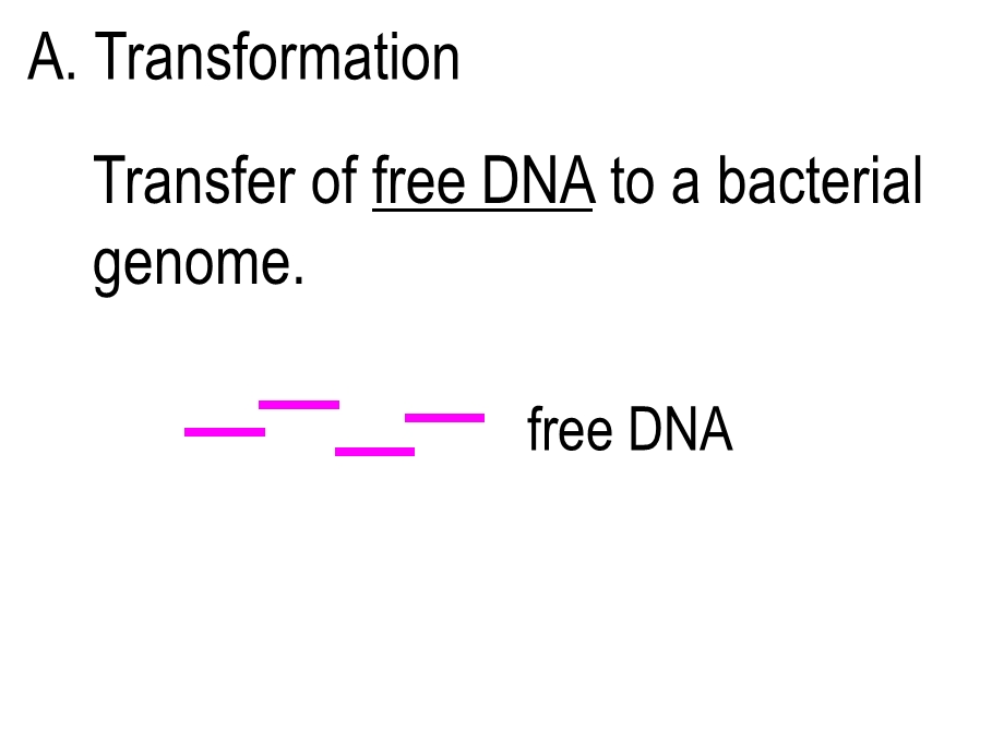 microbialgenetics3细菌和放线菌的基因重组和遗传分析文档资料.ppt_第3页