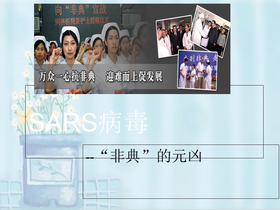 SARS病毒精选文档.ppt_第1页