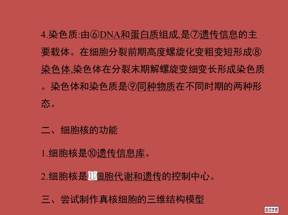 高三一轮复习23细胞核—系统的控制中心文档资料.ppt_第2页