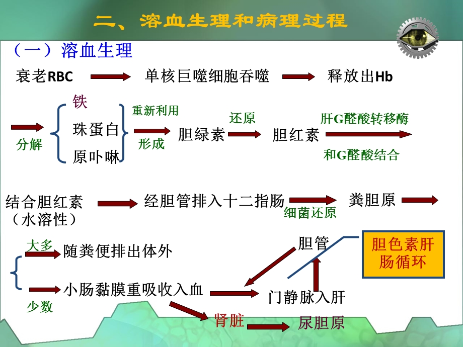 12溶血性贫血及检验HA4学时PPT文档.ppt_第3页