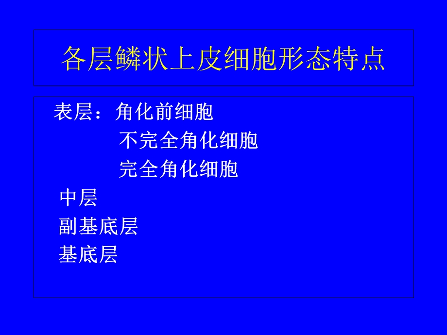 1正常与炎症脱落细胞学形态PPT课件.ppt_第3页