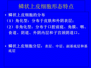 1正常与炎症脱落细胞学形态PPT课件.ppt