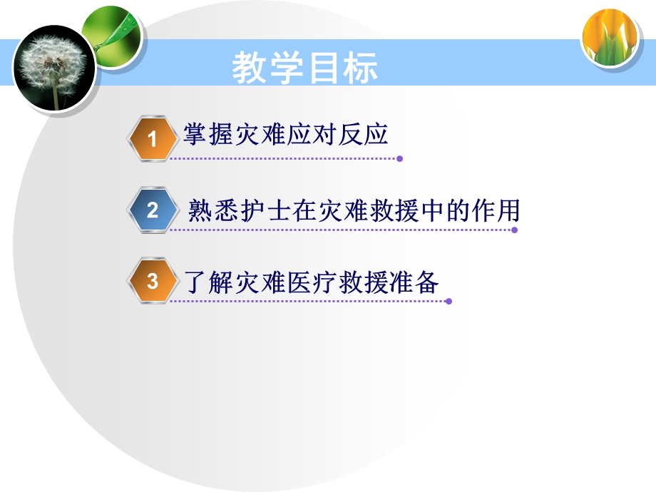 灾难护理精选文档.ppt_第1页