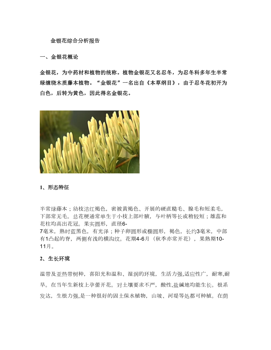 金银花种植投资综合分析报告图文.doc_第1页