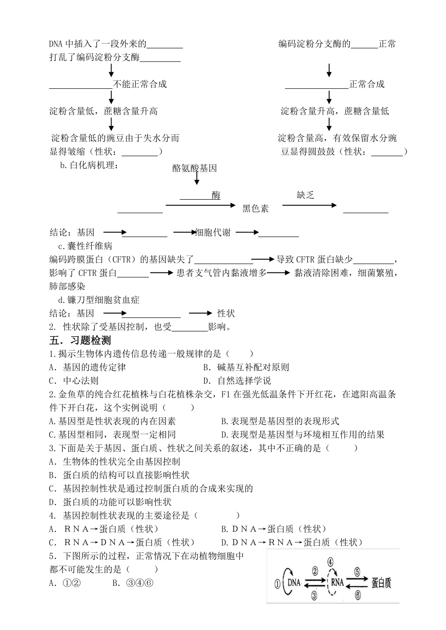 4.2基因对性状的控制候宝华教学文档.doc_第2页