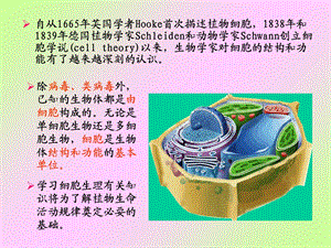 1细胞结构与功能教课2PPT文档资料.ppt