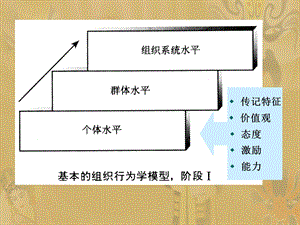 [人力资源管理]第二章 个体行为的基础.ppt