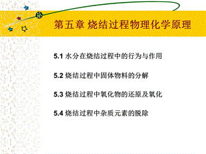 第五章烧结过程物理化学反应名师编辑PPT课件.ppt