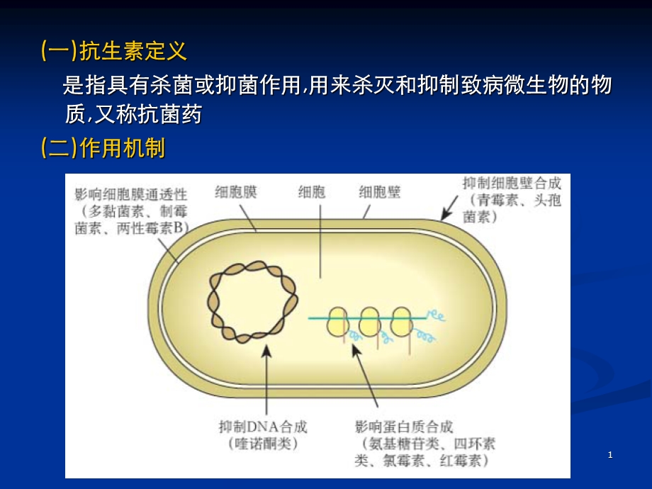 最新抗生素知识PPT文档.ppt_第1页