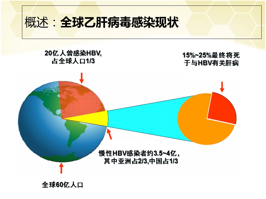 最新：规范使用核苷(酸)类似物治疗慢性乙肝 2文档资料.ppt_第2页