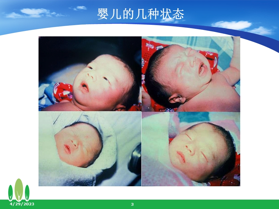 婴幼儿神经心理发育规律与对策ppt课件文档资料.ppt_第3页