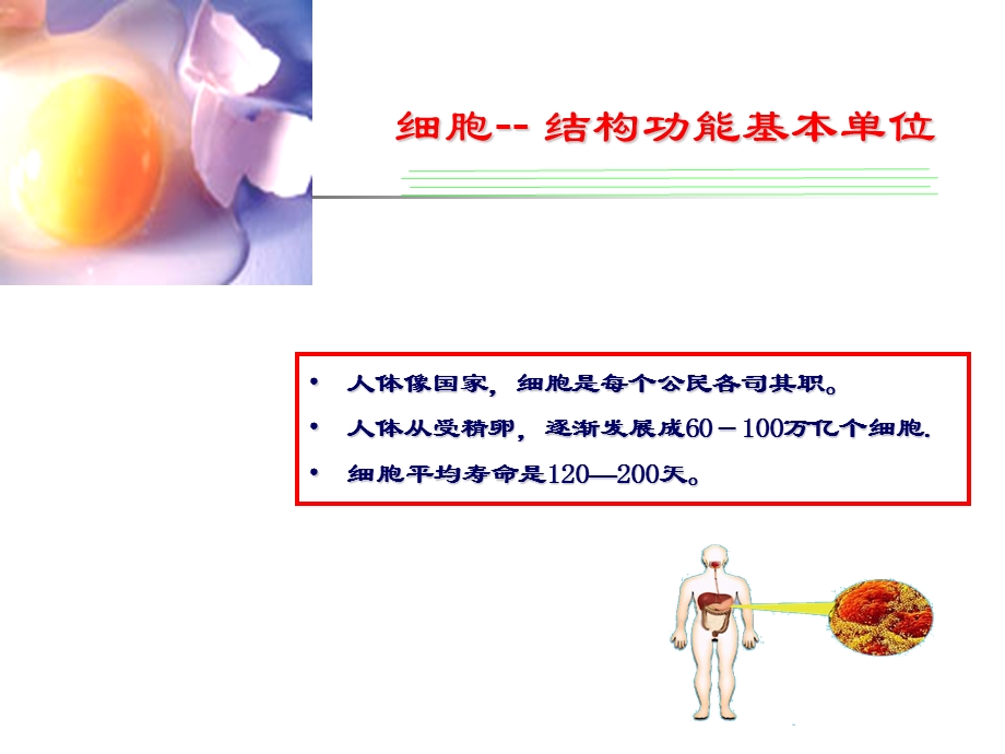 医学病理知识PPT文档资料.ppt_第2页