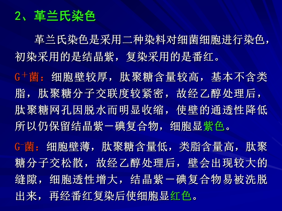 实验细菌的简单染色与革兰氏染色文档资料.ppt_第3页