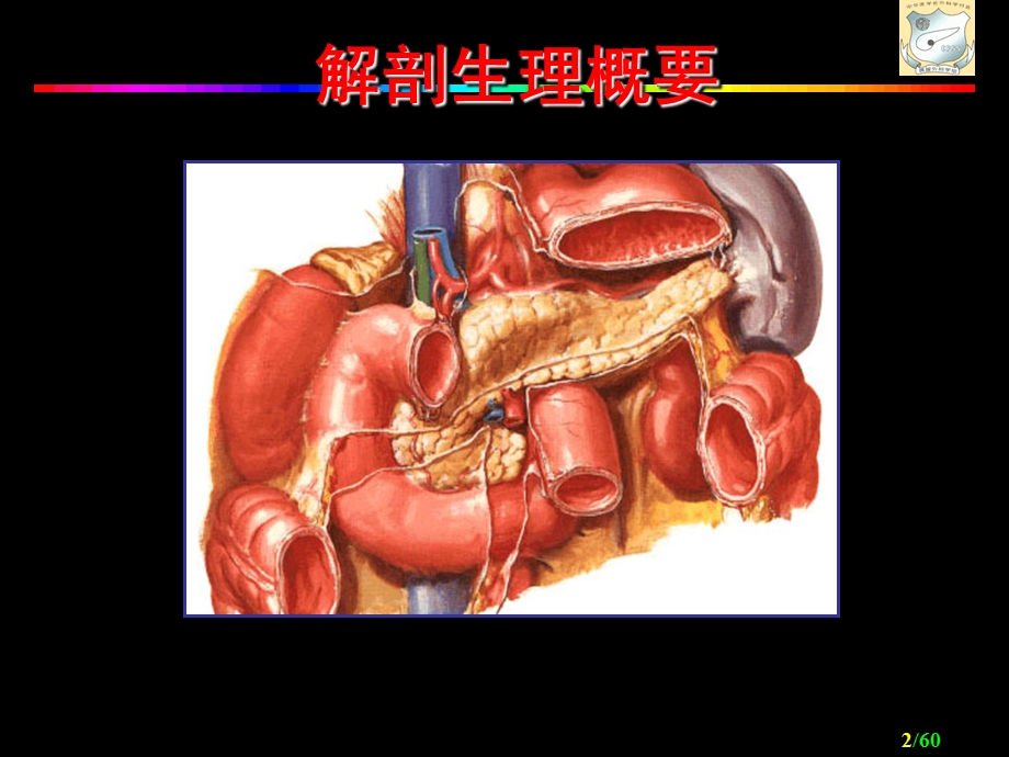 最新胰腺外科疾病ppt课件PPT文档.ppt_第2页