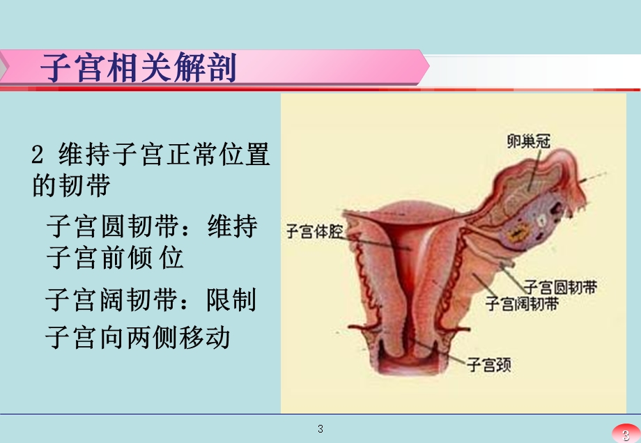 最新：经腹全子宫切除术手术配合文档资料.ppt_第3页