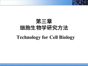 3细胞生物学的研究方法PPT文档资料.ppt