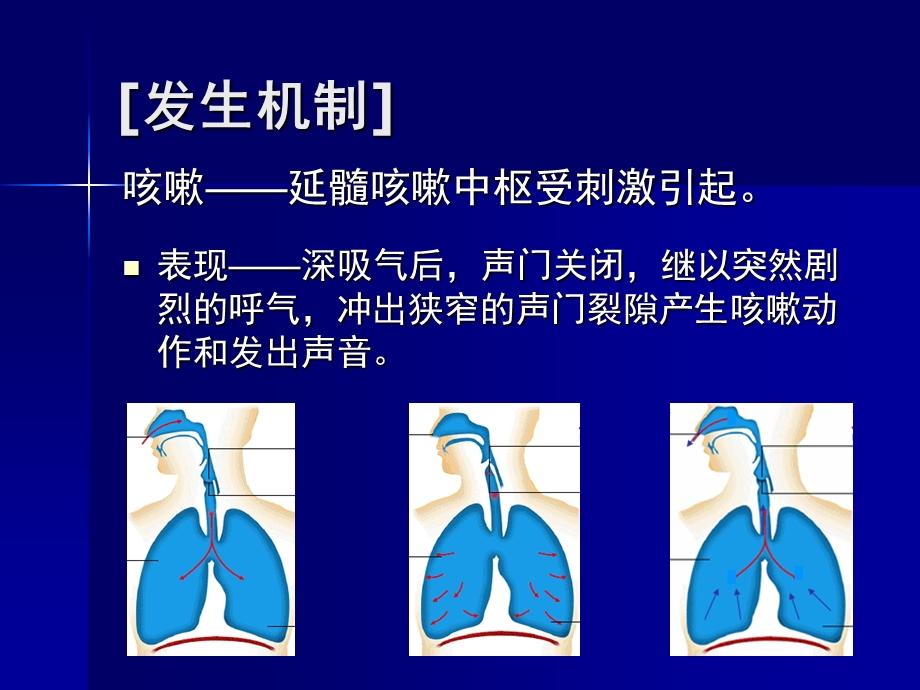 检体诊断学咳咳痰精选文档.ppt_第3页