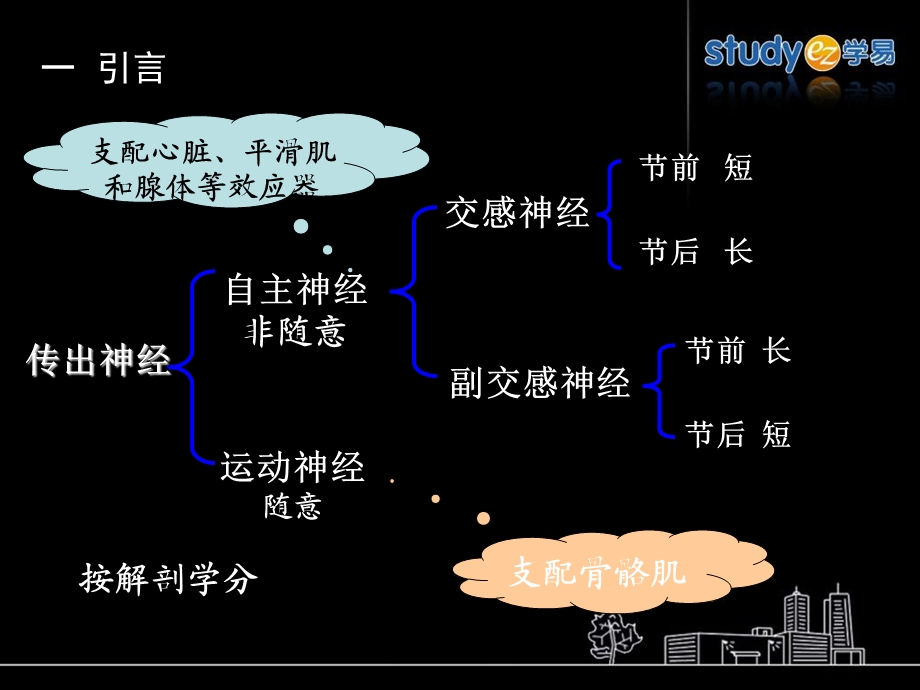 最新10传出神经系统药物PPT文档.ppt_第2页