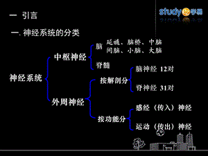 最新10传出神经系统药物PPT文档.ppt