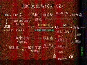 基础肝肠循环PPT文档资料.ppt