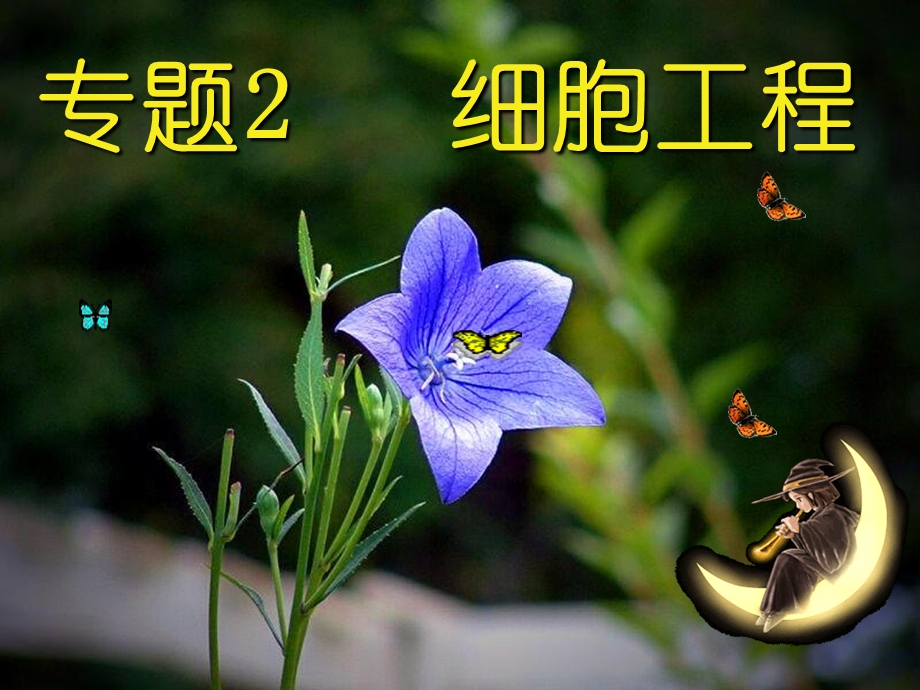 21植物细胞工程lily文档资料.ppt_第2页