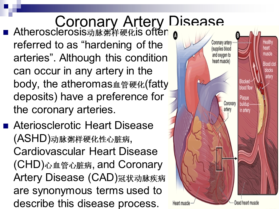 最新内科护理学课件 英语 考试资料CoronaryArteryDiseasePPT文档.ppt_第1页