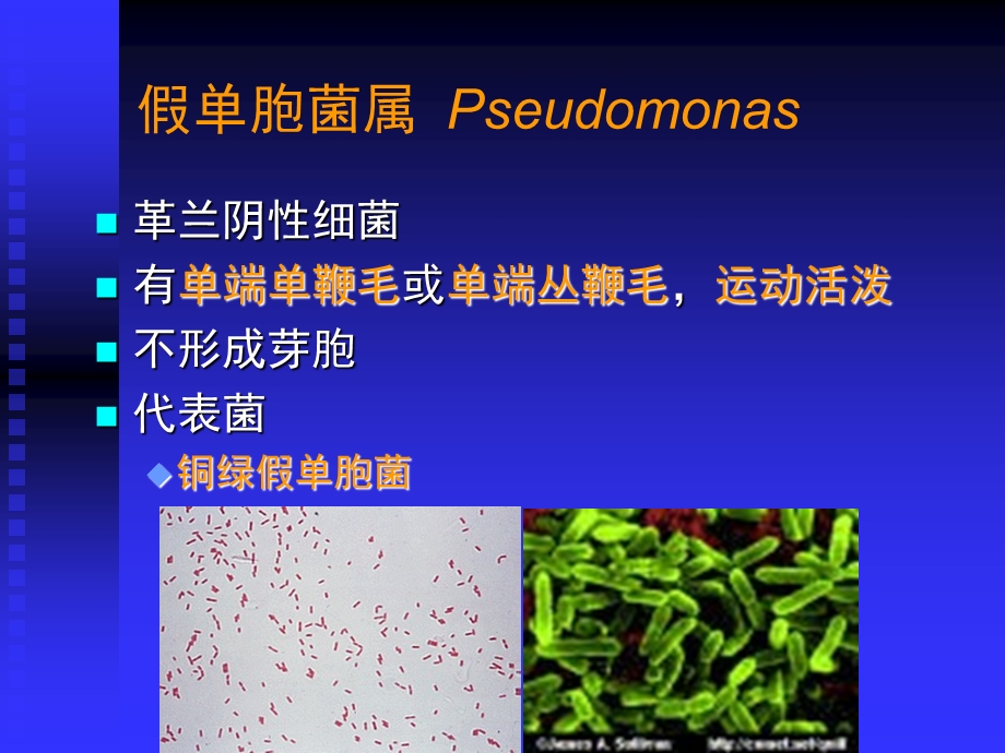 医学微生物学致病性细菌他细菌PPT文档资料.ppt_第3页