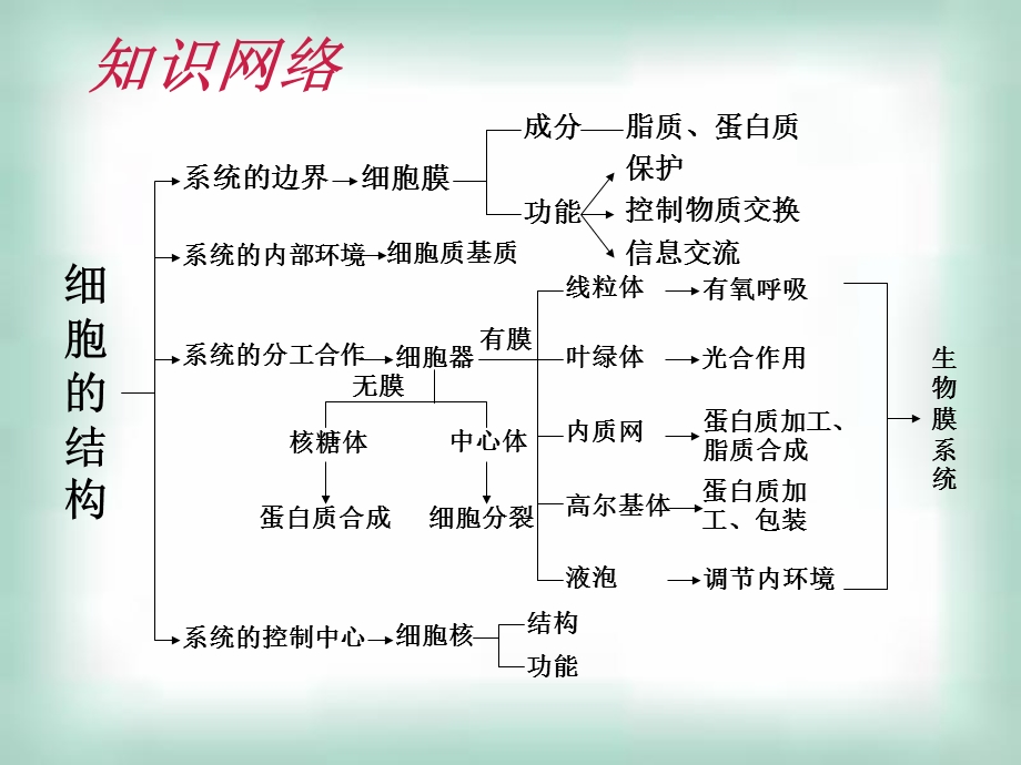 最新细胞的基本结构复习PPT文档.ppt_第1页