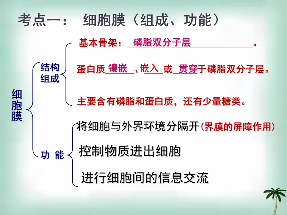 最新细胞的基本结构复习PPT文档.ppt_第2页