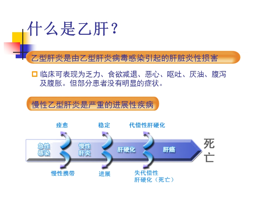 最新乙肝病毒介绍PPT文档.ppt_第3页