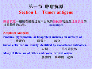 医学微免疫学06级第23章肿瘤免疫PPT文档.ppt