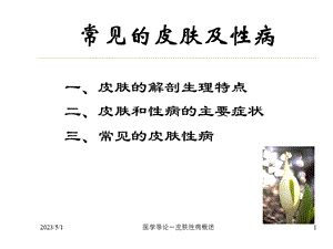 最新：皮肤性病学概述文档资料.ppt