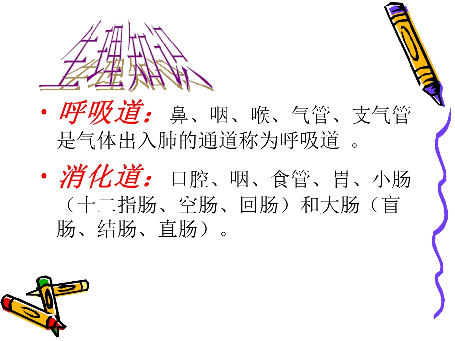 季传染性疾病的预防精选文档.ppt_第2页