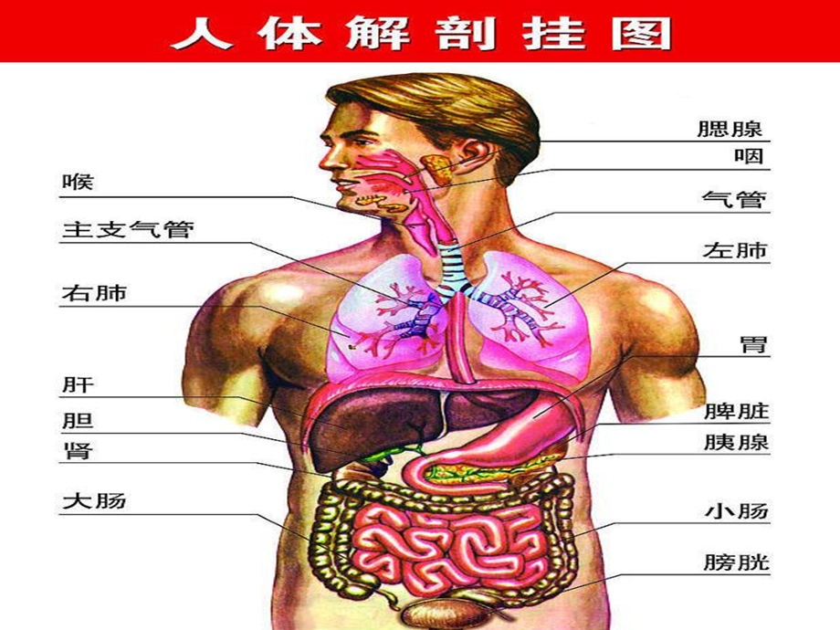 季传染性疾病的预防精选文档.ppt_第3页