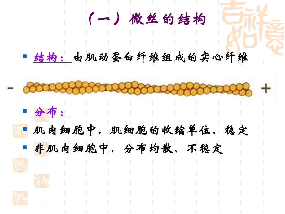 最新：医学细胞生物学细胞骨架文档资料.ppt_第2页