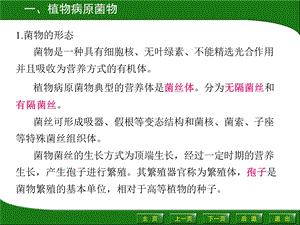 最新：植物生物性病原及其所致病害识别ppt课件文档资料.ppt